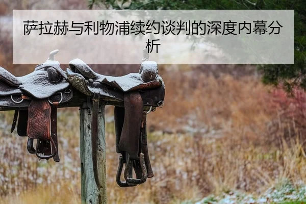 萨拉赫与利物浦续约谈判的深度内幕分析