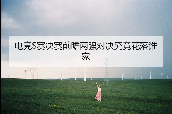 电竞S赛决赛前瞻两强对决究竟花落谁家