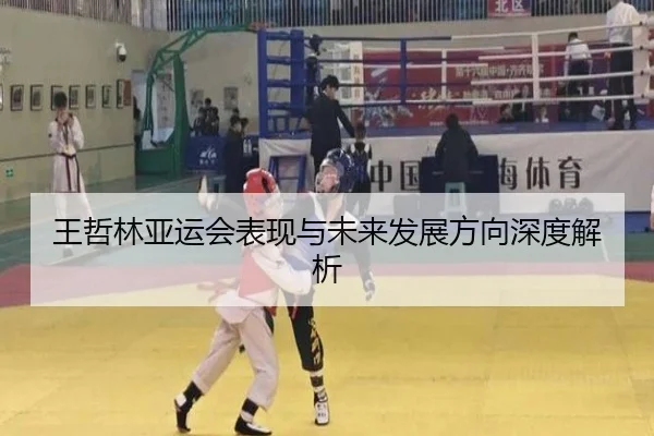 王哲林亚运会表现与未来发展方向深度解析